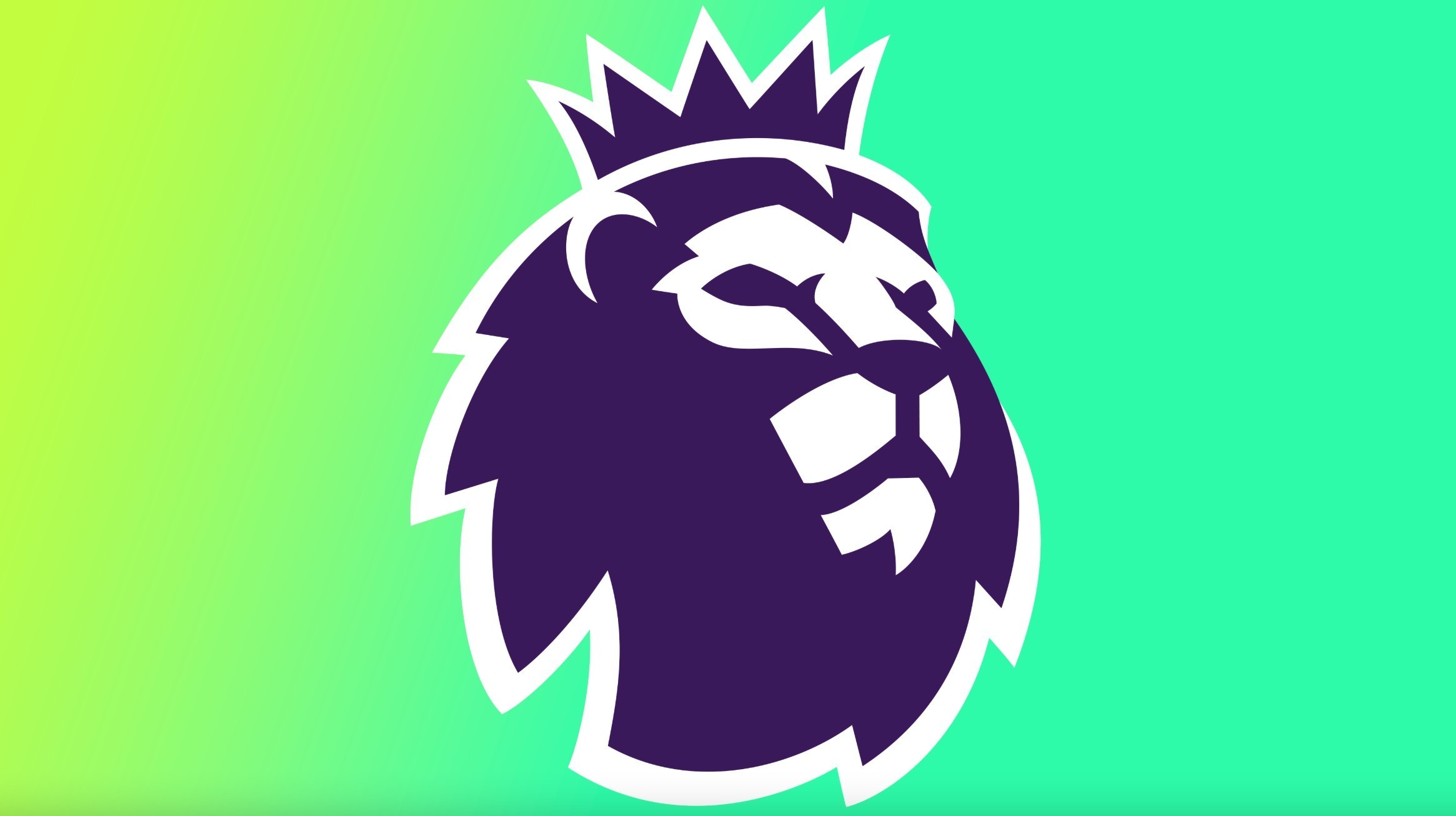 能力在此背 能力在此背